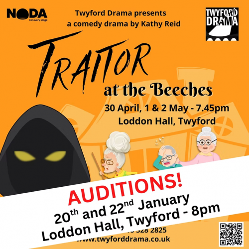 Traitor At The Beeches by Kathy Reid